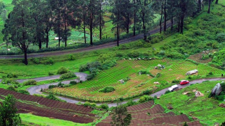 ooty photo