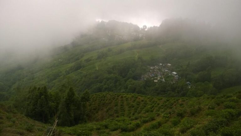 munnar kerala